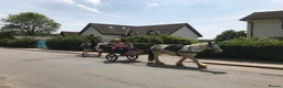 Irish Cob horses for sale: Ride & drive heavy cob  - Advert 10