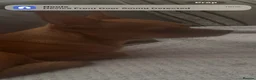 Chihuahua dogs for stud: Red chihuahua for stud - Advert 11