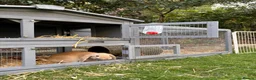English rabbits for sale: Rabbit for donation in London - Advert 6