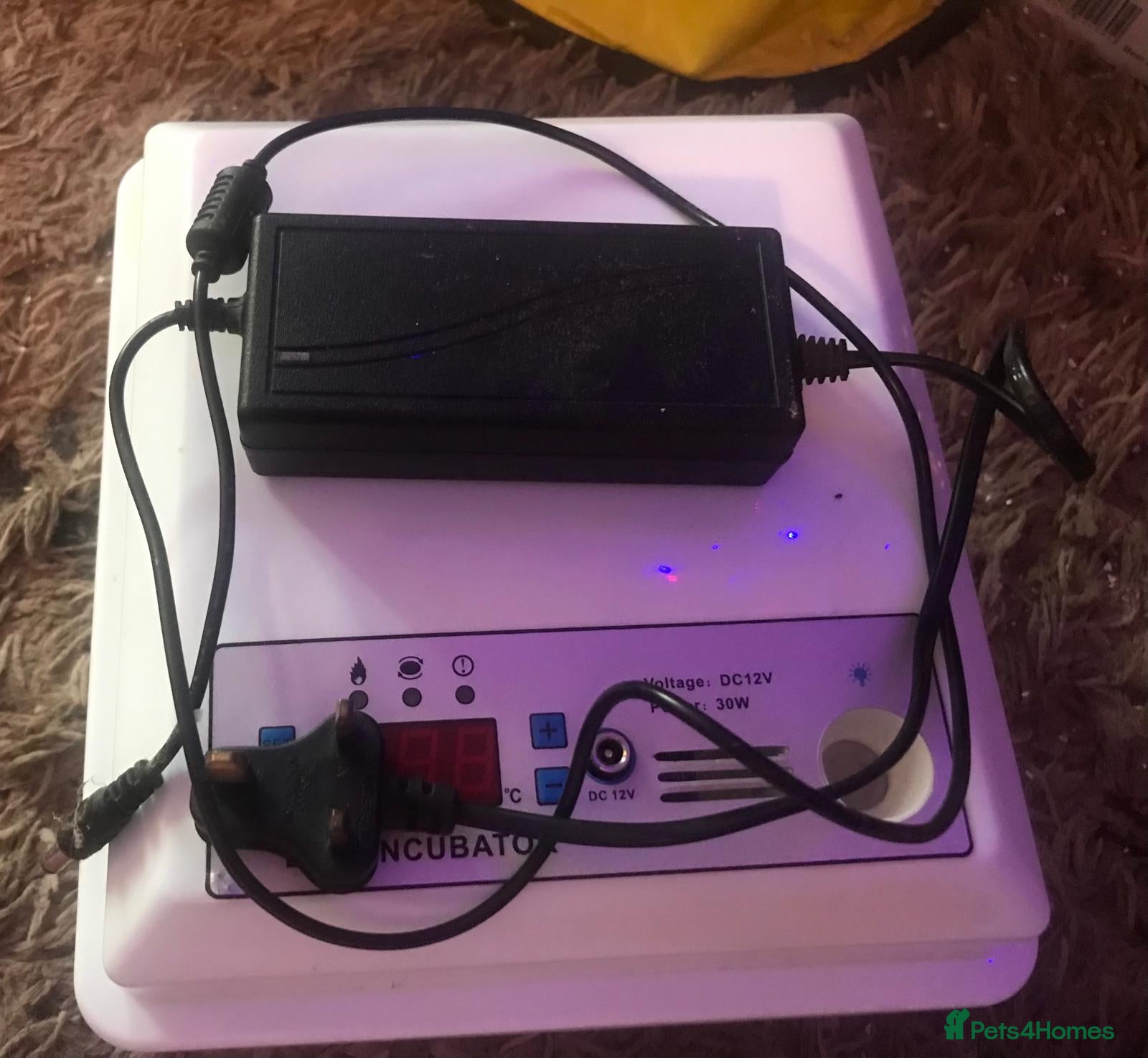 Quail poultry PET HUTCH & INCUBATOR ! - Advert 20