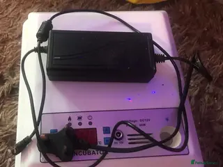 Quail poultry PET HUTCH & INCUBATOR ! - Advert 20