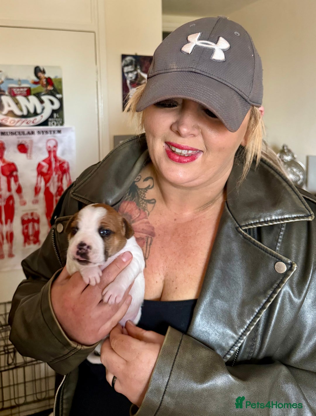 Staffordshire Bull Terrier dogs for sale: The Most Beautiful Staffy Puppies - Image 7