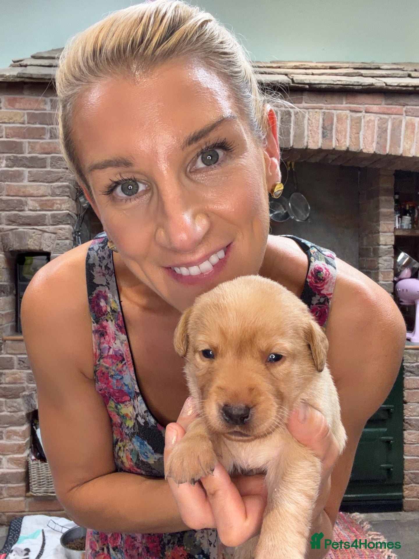 Labrador Retriever dogs 🐾 3 week old 🐕 KC vet checked thriving Labradors - Advert 6