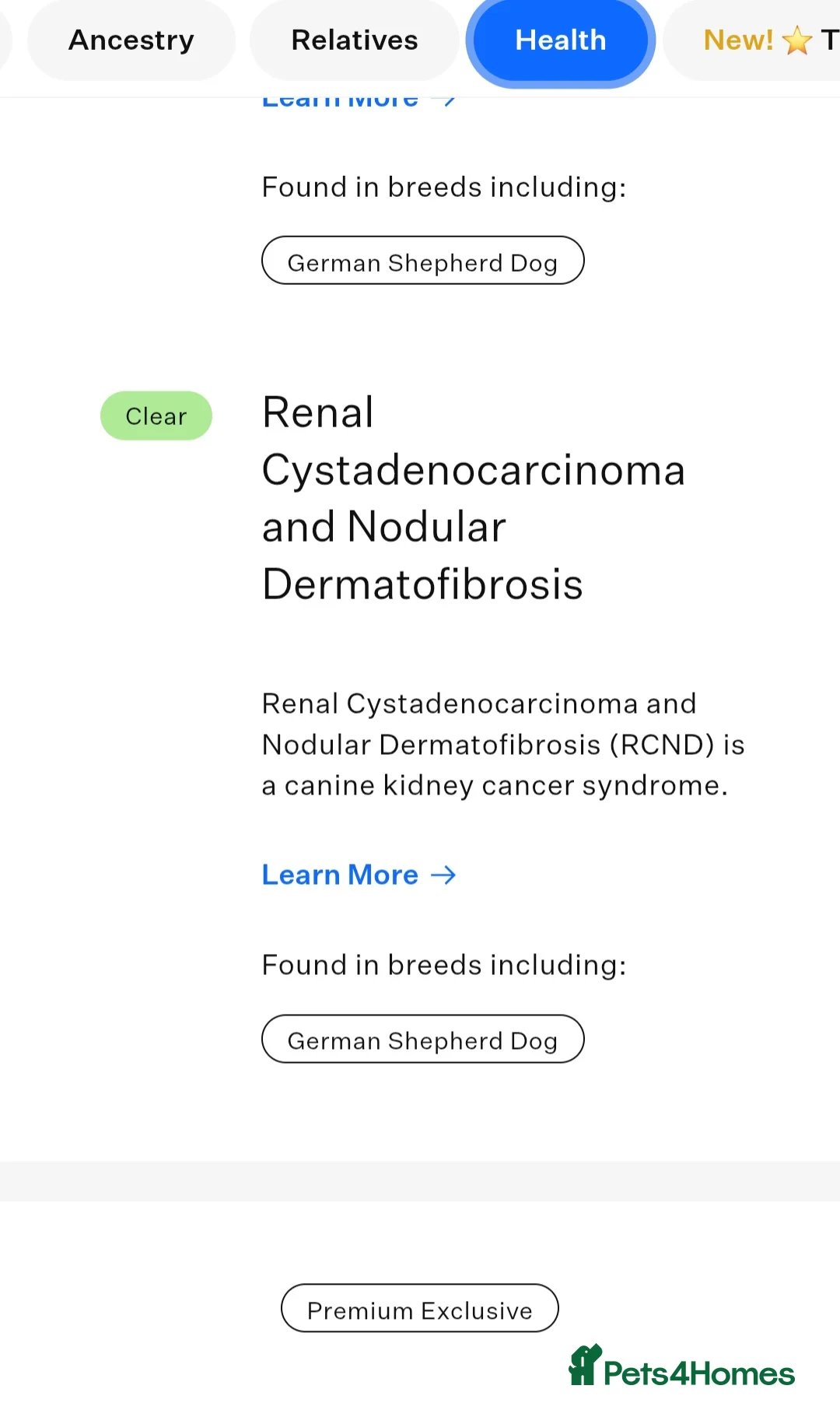 German Shepherd dogs for stud: PROVEN KC REG STRAIGHT BACK BLUE BICOLOUR in Redditch - Advert 20