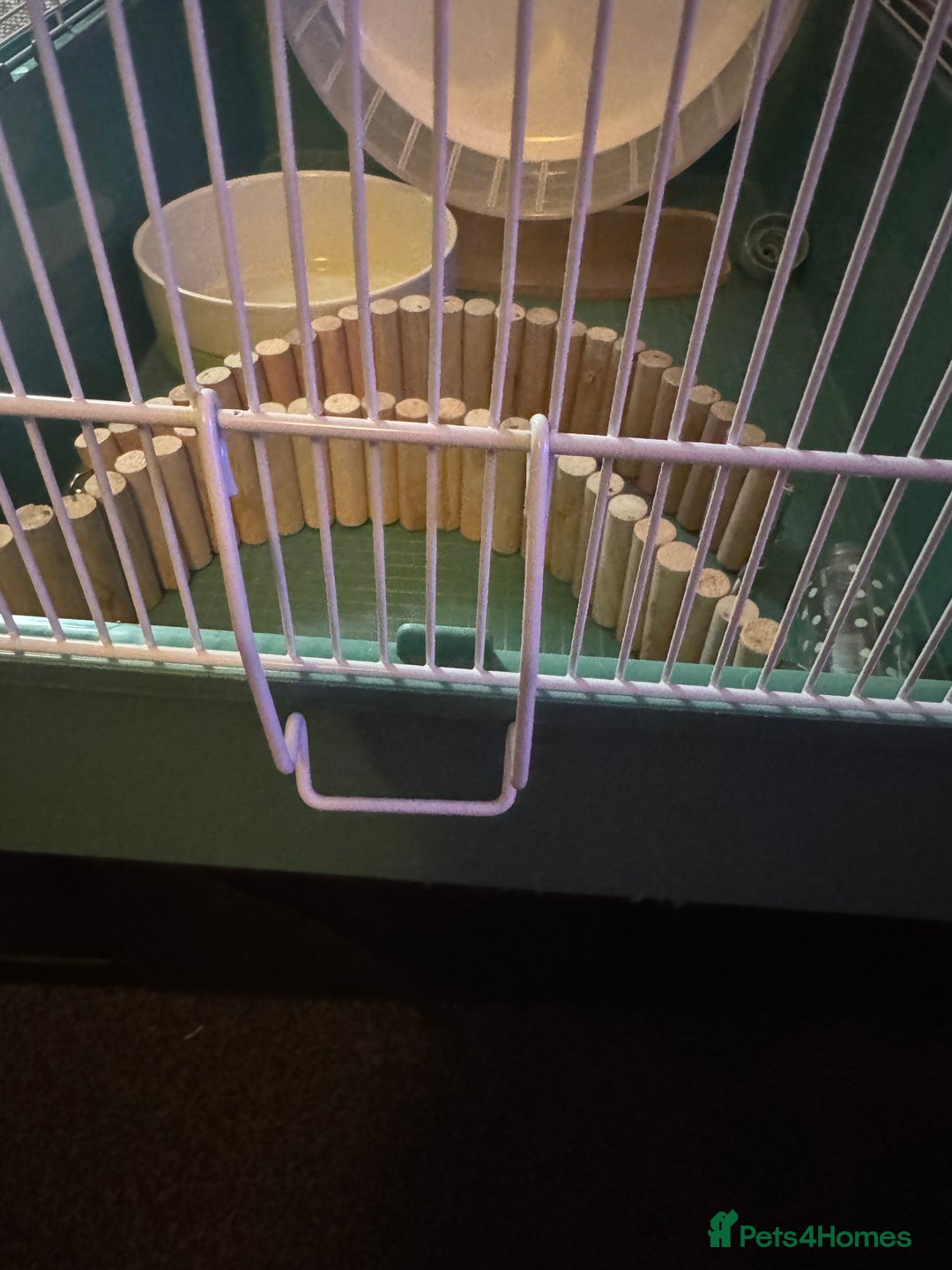 Hamster rodents for sale: Hamster house bundle - Advert 4