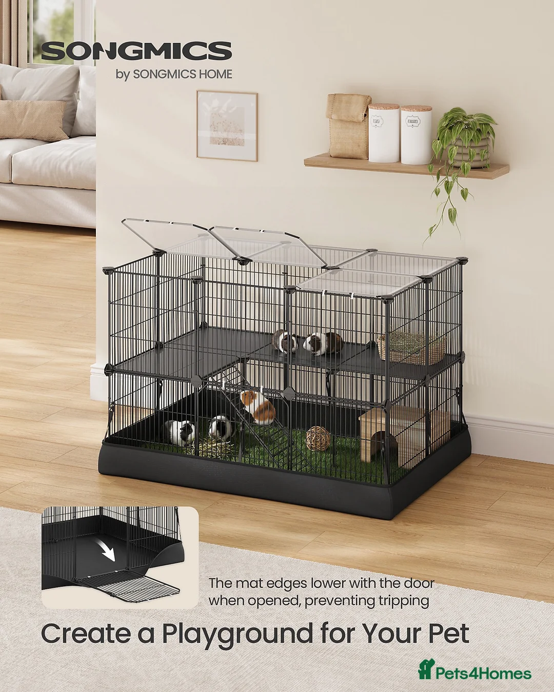 Guinea Pig rodents for sale: Baby Guinea Pigs - Advert 11