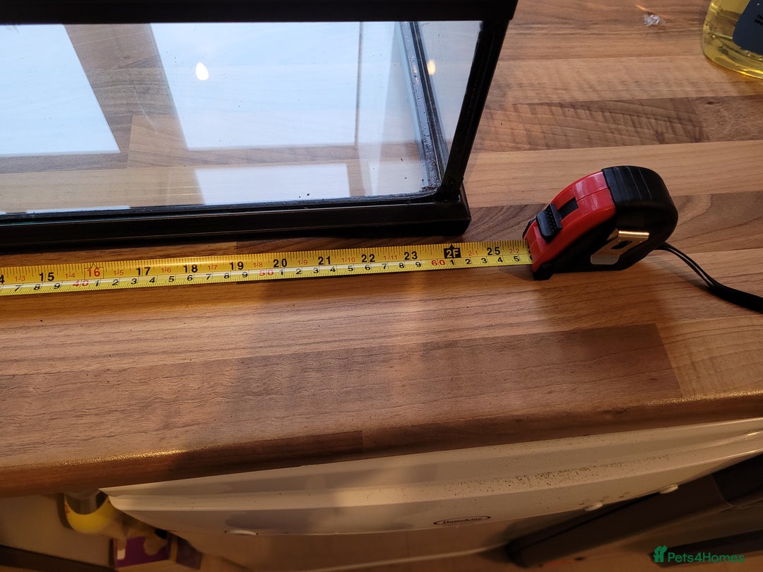 Chameleon reptiles for sale: 60 x 45 x 44 Exo Terra terrarium set up - Advert 10