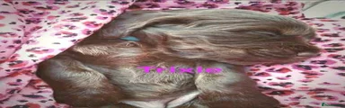 Trixie