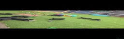 Rottweiler dogs for sale: rottweilers... - Advert 15