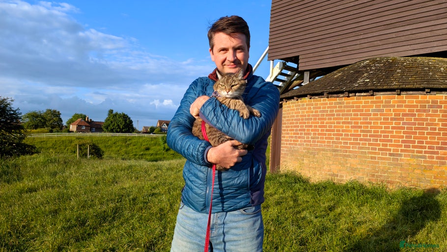 Gallery Image {{count}}