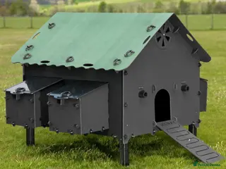 Mixed Breed poultry Smart Hen House - Recycled - 10/12 Hens - Advert 1