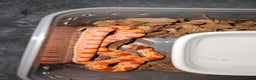 Corn Snake reptiles for sale: Healthy amelanistic baby cornsnakes  - Advert 2