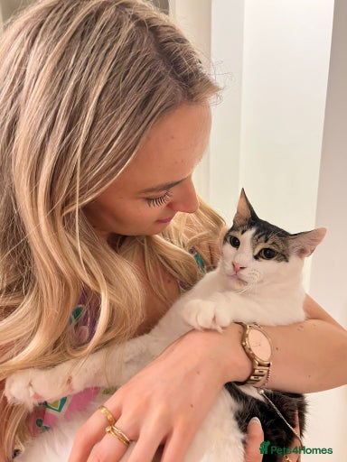 Gallery Image {{count}}