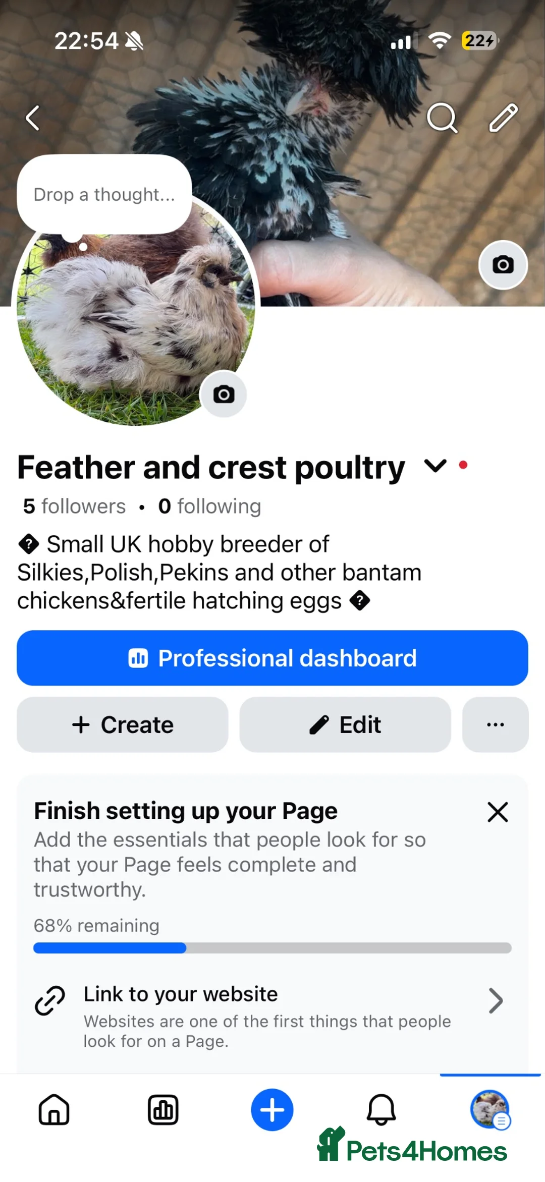 Chickens poultry for sale: Feather and crest hobby poultry! 🐥  - Advert 1