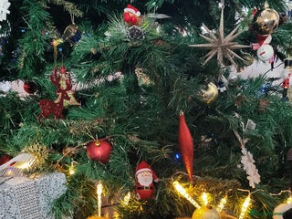 Miniature Dachshund dogs Miniature long haired daschunds - Advert 2