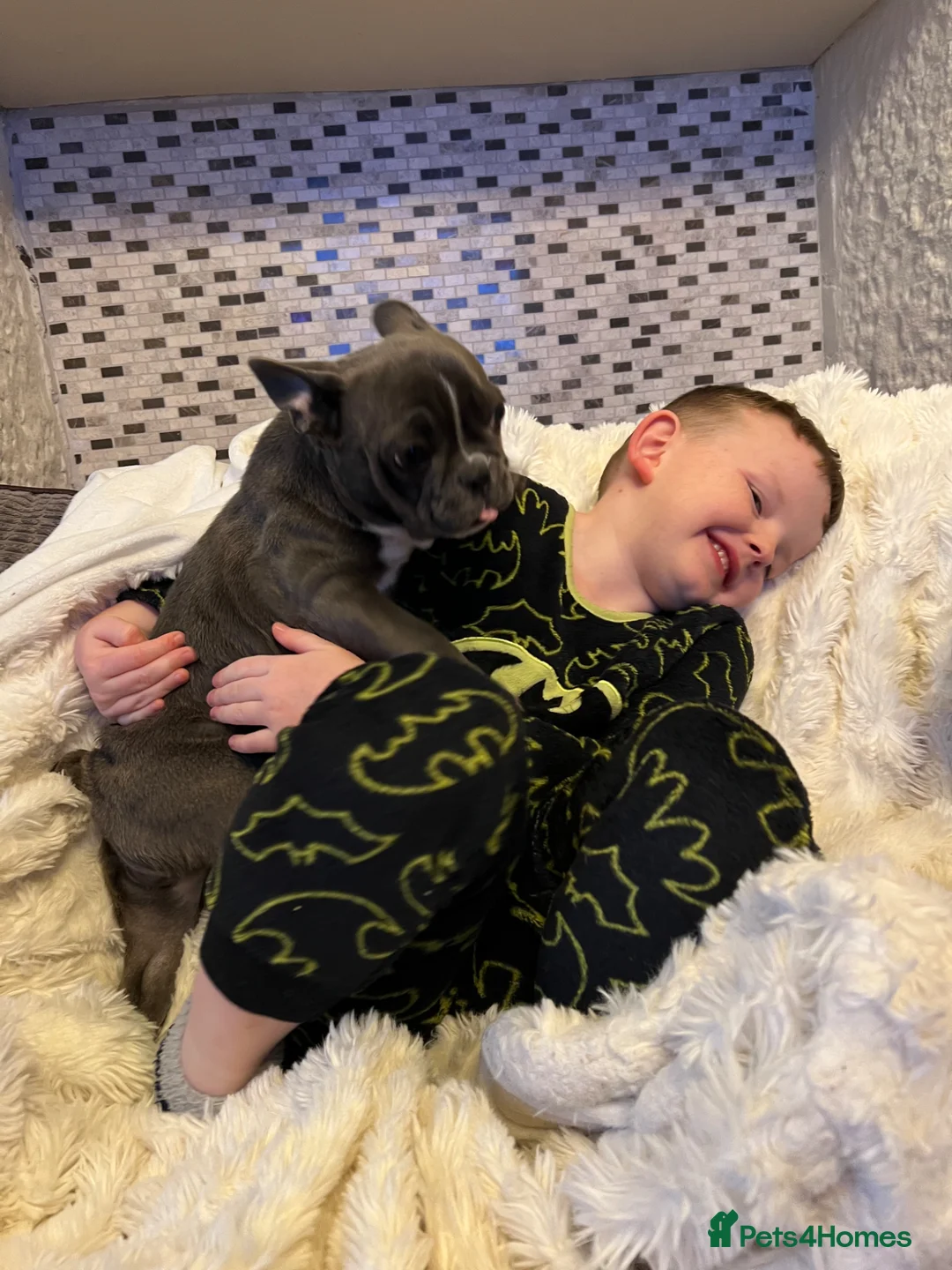 French Bulldog dogs for sale: Our keeper for sale French bulldog girl  in Huddersfield - Advert 1