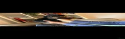 Rottweiler dogs for sale: Rottweiler pups - Advert 9