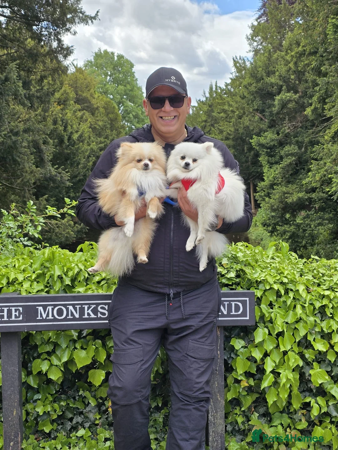 Gallery Image {{count}}