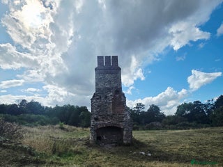 Mixed Breed dogs Sharpei cross breed - Advert 1