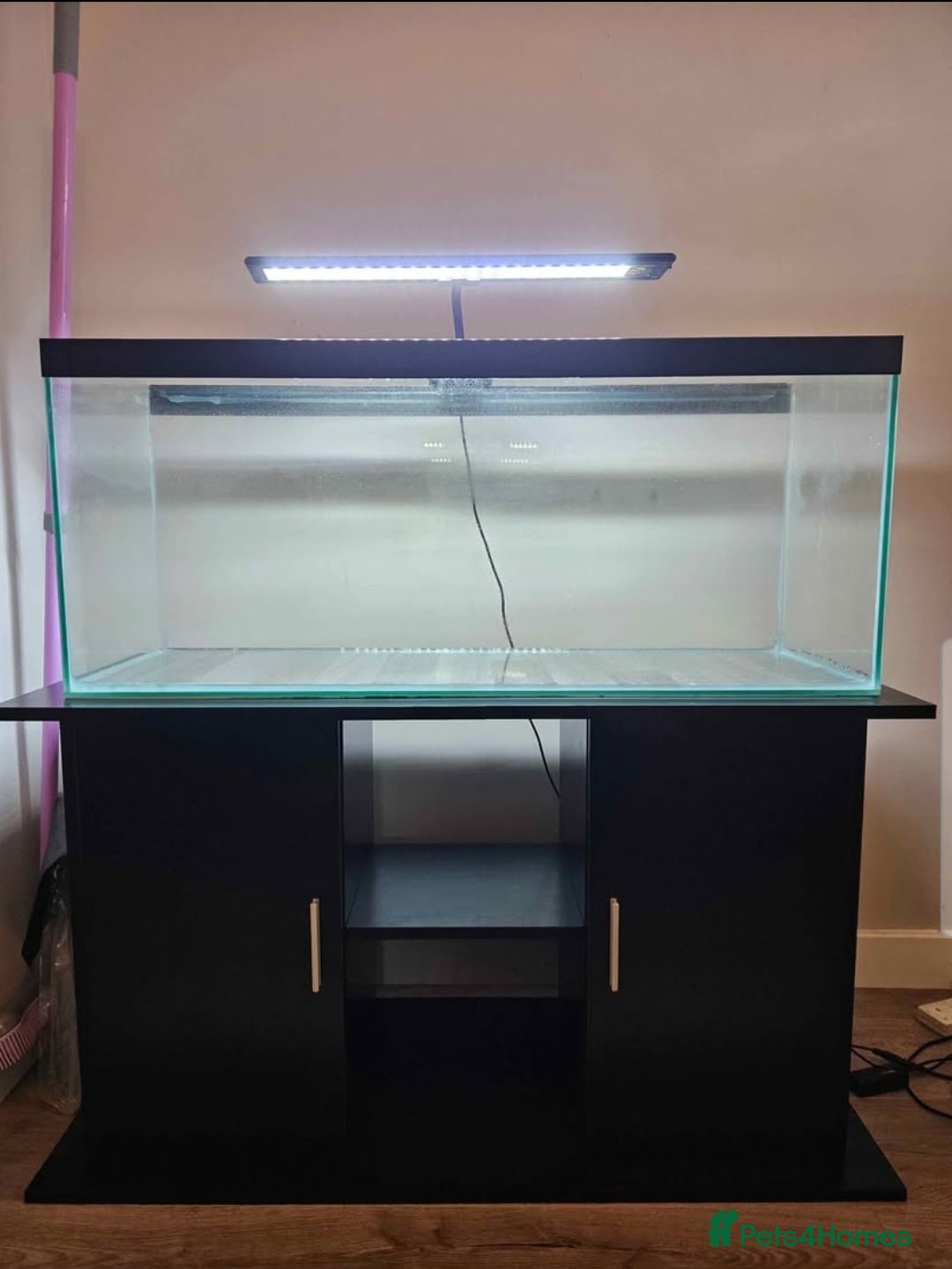 Goldfish fish for sale: 100L Fish Tank & Stand - Advert 1