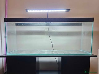Goldfish fish 100L Fish Tank & Stand - Advert 1