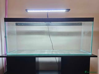 Goldfish fish 100L Fish Tank & Stand - Advert 3