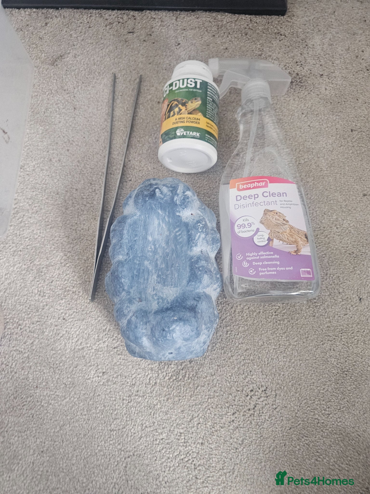 Leopard Gecko reptiles for sale: Male leopard gecko and equipment in Hemel Hempstead - Advert 9