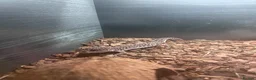 Leopard Gecko reptiles for sale: Complete Leopard Gecko Set Up 3 Viv’s & 4 Gecko’s - Advert 5