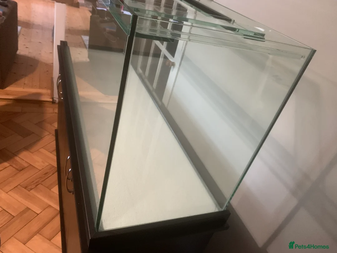 Other/Mixed Breed fish for sale: Brand new 5ft fish tank and stand in Matt blackK - Advert 3