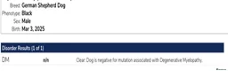 German Shepherd dogs for stud: Superb Long Coat Solid Black KC Reg  *STUD* - Advert 9