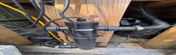 Koi Carp fish for sale: Fish pond plus fish  in Swadlincote - Advert 4