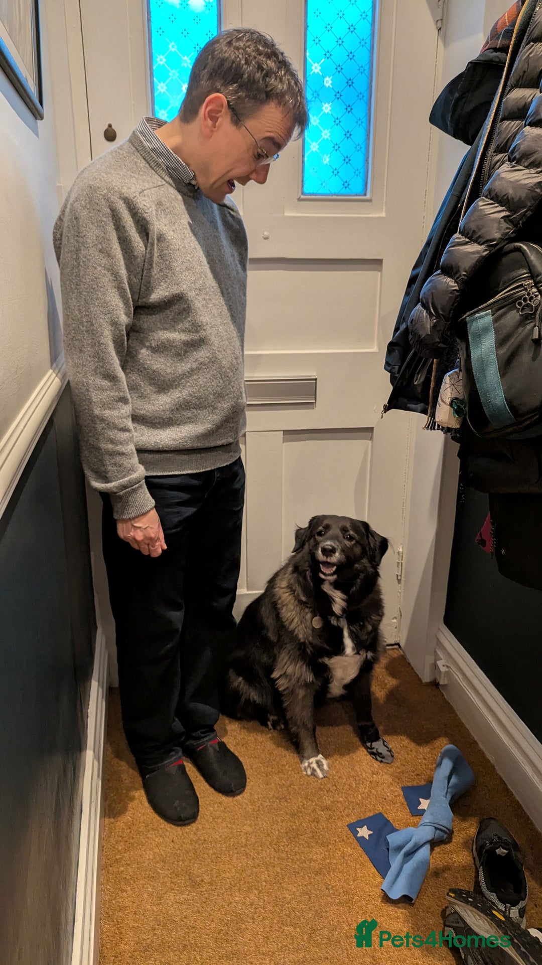 Mixed Breed dogs for adoption: Ruskin - 8 years old, Female, Mixed Breed - Advert 8