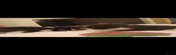 Mixed Breed cats for sale: Litter of 4 kittens in Colchester - Advert 9