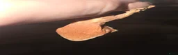 Gecko reptiles for sale: Red base Lilly White- Crested gecko - Advert 3