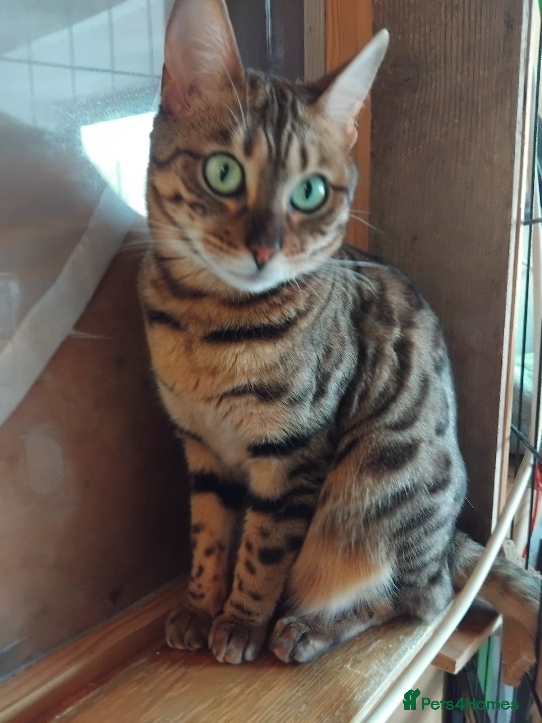 Gallery Image {{count}}