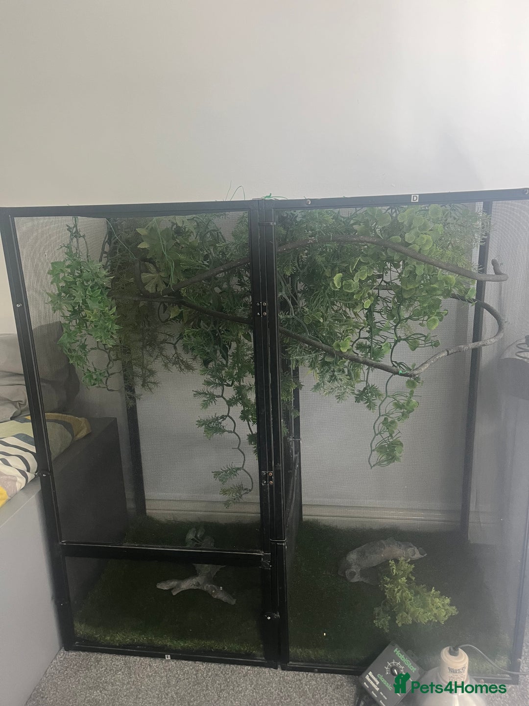 Chameleon reptiles for sale: Open air Viv chameleon  (chameleon not included) - Image 1