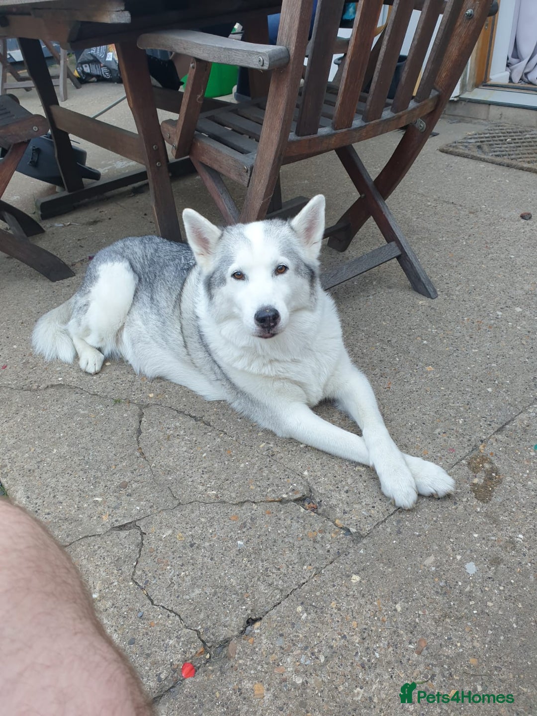 Gallery Image {{count}}