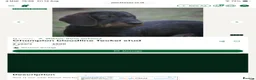 Dachshund dogs for sale: Teckel Arthur  - Advert 2