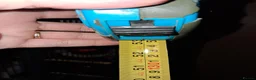 Budgerigars birds for sale: Cage & 4 budgies - Advert 3