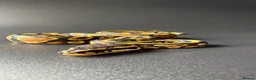 Python Snake reptiles for sale: Yellowbelly-het Pied Male - Advert 2