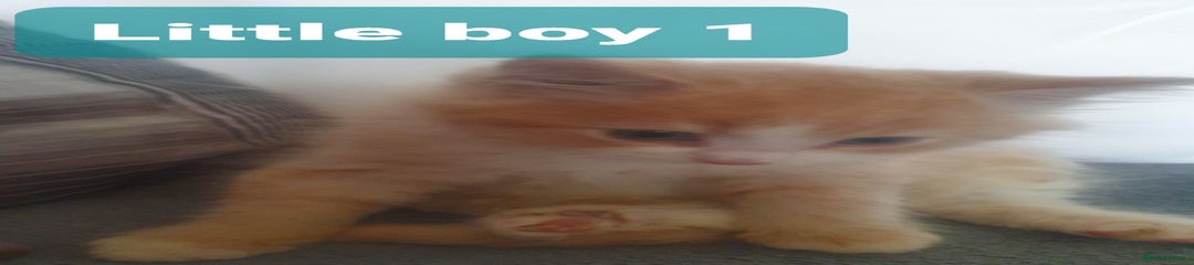 Boy 1