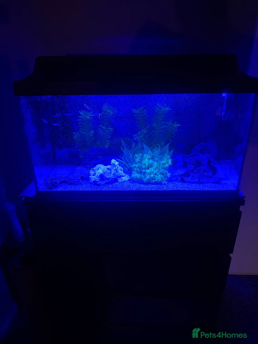 Other/Mixed Breed fish for sale: 105 litre full tropical fish tank set up  - Advert 3