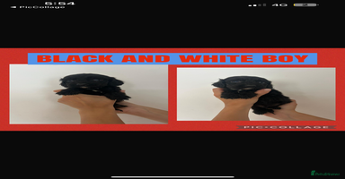 Cockapoo dogs - Advert 8