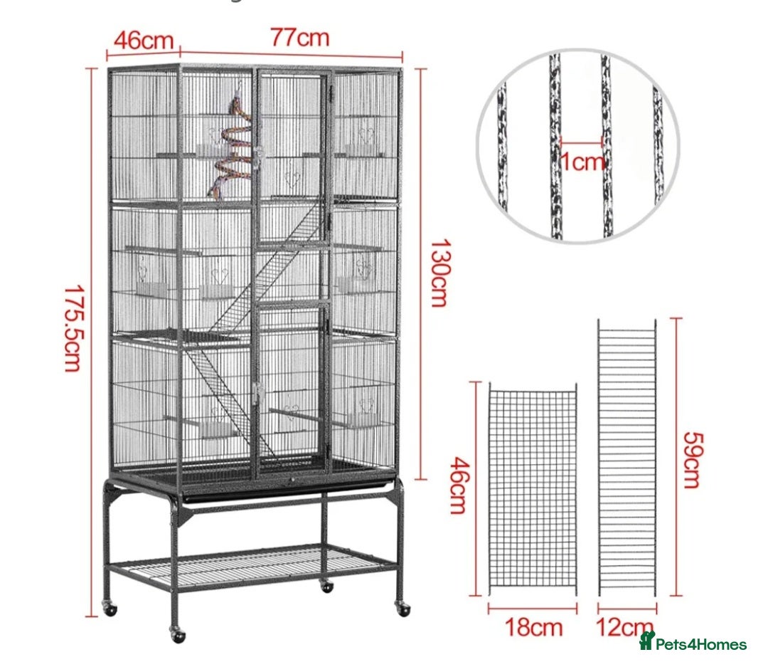 Budgerigars birds for sale: BIG CAGE  - Advert 6