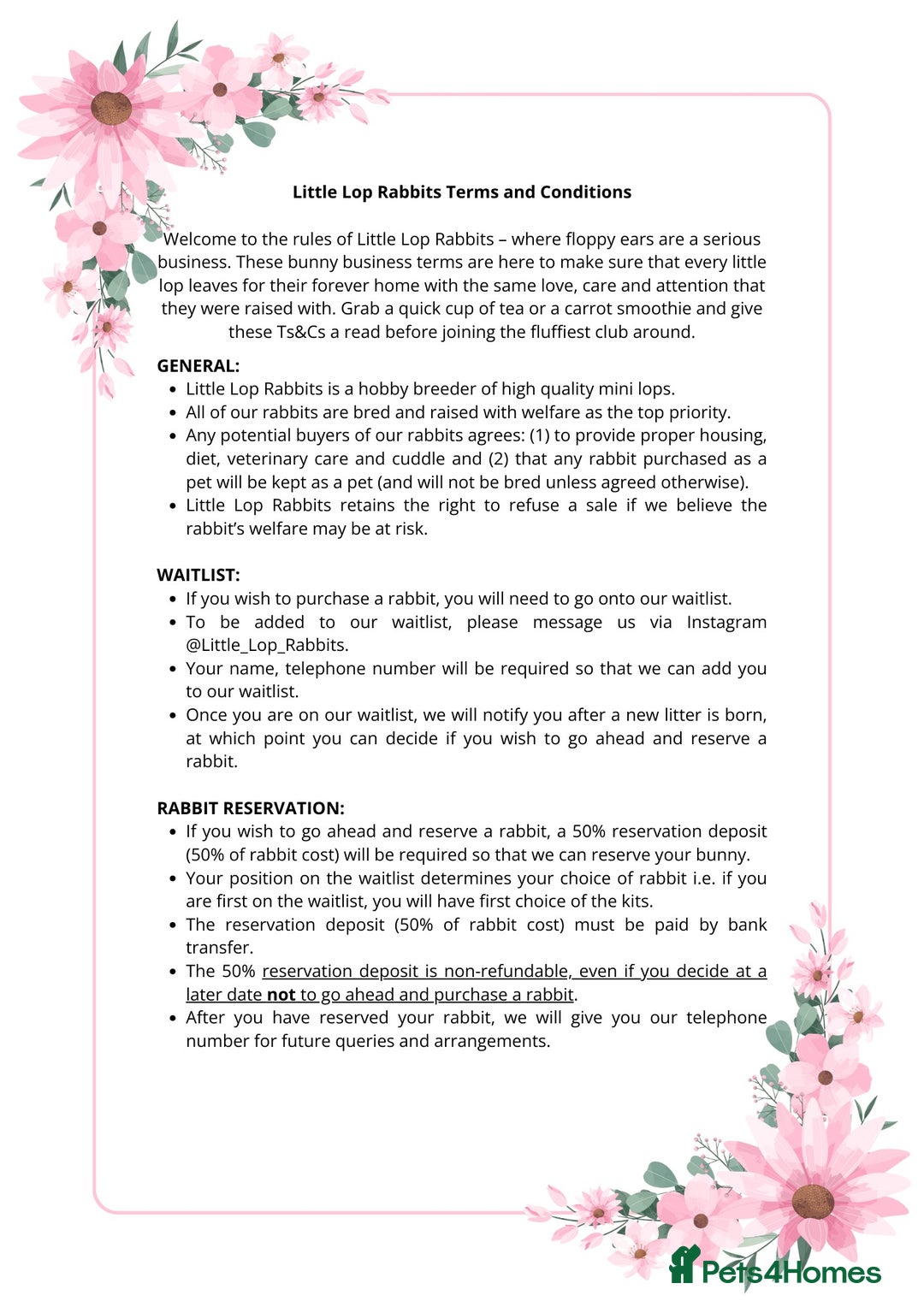 Mini Lop rabbits for sale: Mini Lop Rabbits Waitlist 2026 - Advert 6