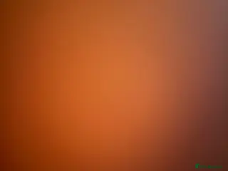 Maine Coon cats Maine Coon Kittens 🏆 20+ gen 🧬 Full Pedigree - Advert 5