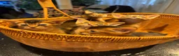 Abyssinian cats for sale: Five Abyssinian kittens with lots of love to give - Advert 9