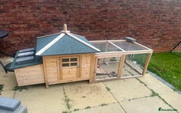 Dwarf Lop rabbits for sale: 2 rabbits and hutch - Image 4
