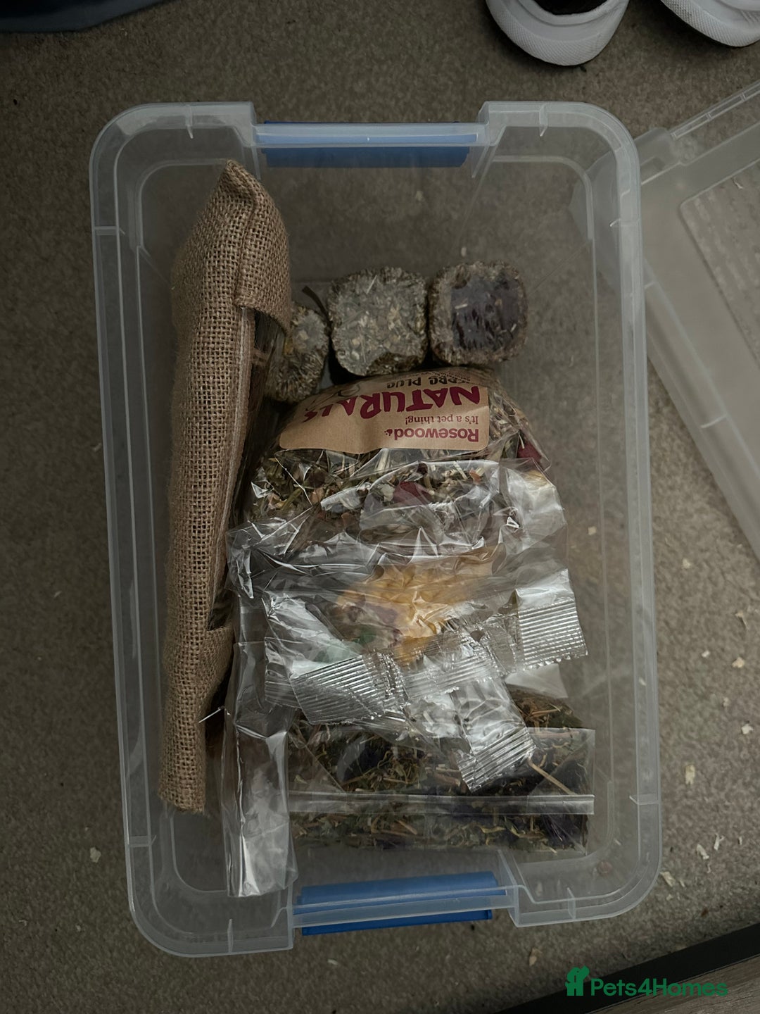 Hamster rodents for sale: Bucatstate 3.0 cage and accessories - Advert 3