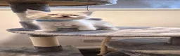 Siberian cats for sale: Beautiful Siberian Neva Masquerade kittens - Advert 6